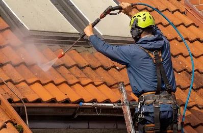 Démoussage et hydrofuge de toiture à Sauvelade
